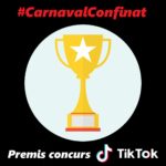 privat:-premis-concurs-carnaval-tik-tok