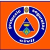 privat:-la-policia-local-de-palamos-incorpora-un-nou-vehicle-hibrid-al-seu-parc-mobil