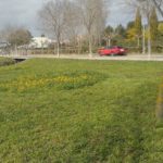 privat:-assaig-rodones-biodiverses-per-un-medi-ambient-sa-i-equilibrat