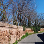 privat:-poda-d’arbres-que-ocupaven-part-de-la-calcada-del-carrer-mascaneda