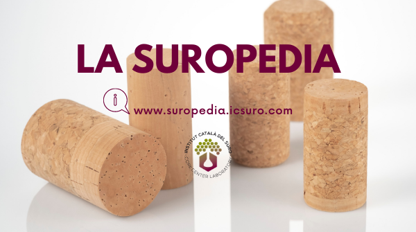 privat:-neix-la-suropedia,-un-web-capac-de-resoldre-qualsevol-dubte-sobre-el-suro