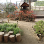 Pals naturalitza els exteriors de la seva escola bressol