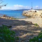 S’impulsa una petició de firmes per habilitar un espai per gossos a les platges de Palamós Platja per animals de companyia