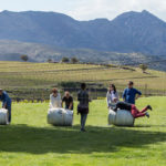 El Festival Vívid, de la DO Empordà, engega la setena edició amb un 70% de les entrades venudes