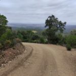 Els boscos del Baix Empordà són alguns dels més afectats per la sequera