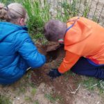 privat:-jornada-horts-ecologics-i-comunitaris-escola-pedralta