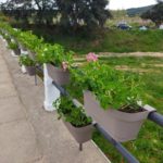 privat:-el-pont-del-ridaura,-engalanat-amb-geranis