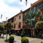 privat:-comenca-la-12a-edicio-del-festival-flors-i-violes