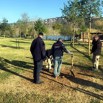 Roben el monòlit de Platja d’Aro que l’Ajuntament va instal·lar al parc dels Estanys