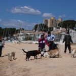 Uns 30 veïns de Palamós es manifesten amb els seus gossos a la platja per reclamar-hi un espai, adequat a les mascotes