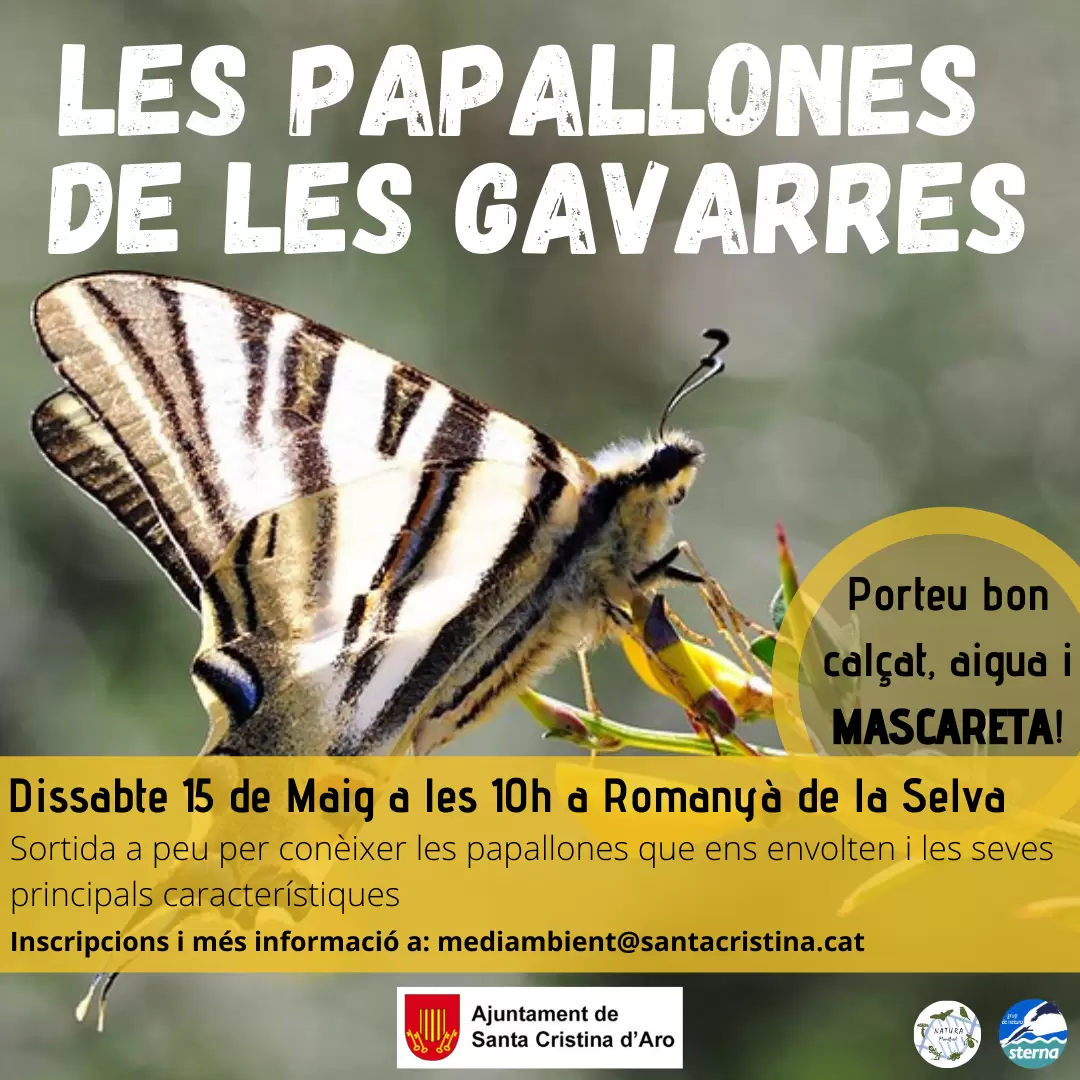 privat:-descobreix-les-papallones-de-les-gavarres-–-15-maig