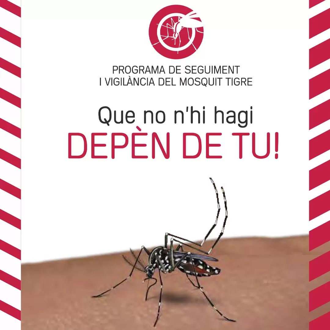 privat:-aturar-el-mosquit-tigre-depen-de-tu!