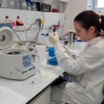 Detecten una mobilitat “molt elevada” d’exemplars de gamba vermella entre set caladors del Mediterrani