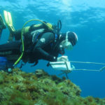 Palamós ofereix cursos gratuïts per a la formació laboral aquest setembre