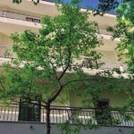 Palamós estrena la primera residència mediterrània per gent gran