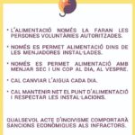 privat:-control-de-la-poblacio-de-gats-de-carrer