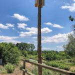 privat:-caixes-refugi-per-a-ratpenats