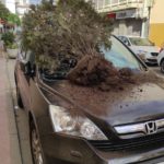 “Quina vergonya!”: l’Ajuntament de Calonge denuncia les destrosses a Sant Antoni la nit de Sant Joan