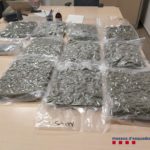 Detingut un jove de Palafrugell que enviava marihuana per missatgeria marihuana 3 juny 2021