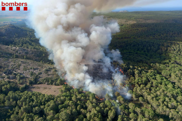 privat:-incendi-forestal-a-les-dunes