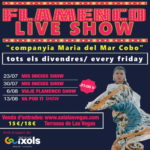 privat:-arriba-a-sant-feliu-un-gran-espectacle-de-flamenc