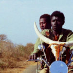 El Foment de les Cultures es presenta amb cinema a la Freschhhhca foto cinema fresca