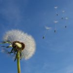 varwwwvhostsradiocapital.cathttpdocswp-contentuploads202107echodret-a-morir-dignament.jpg