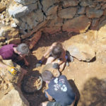 Recuperen una barraca de pedra seca que restava emboscada al Montgrí privat:-torroella-de-montgri-recupera-a-traves-d’un-camp-de-treball-una-barraca-de-pedra-seca-que-restava-emboscada-al-montgri