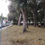 privat:-la-tradicional-cantada-d’havaneres-de-tamariu-es-traslladara-a-un-nou-emplacament-degut-a-les-mesures-de-lluita-contra-la-covid-19