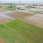privat:-torroella-de-montgri-disposa-d’un-pla-per-eradicar-els-historics-problemes-d’inundabilitat-a-la-plana