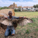 Denuncien la mort d’un altre duc Bubo Bubo electrocutat a Castell d’Aro Jaume Ramot, president del Grup de Natura Sterna, amb el duc electrocutat aquest dimecres 25 d’agost a Castell d’Aro. Fotografia: Grup de Natura Sterna