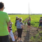 REPORTATGE: Passejada i sopar a Pals entre arrossars i vinyes de l’Empordà