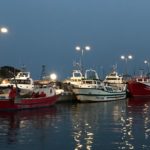 Vaixells de pesca al port de Palamós 2