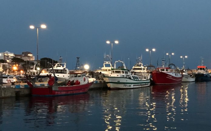 Vaixells de pesca al port de Palamós - Imatge de Gerard Escaich Folch