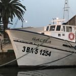 Vaixells de pesca al port de Palamós – Gacela