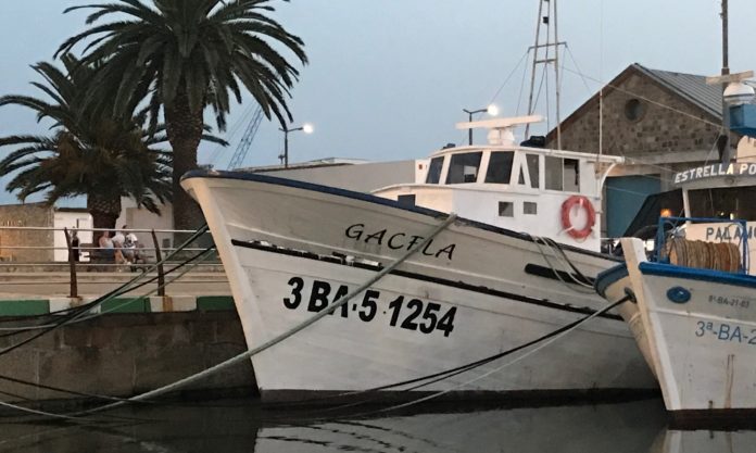 Vaixells de pesca al port de Palamós - Gacela