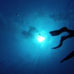 diving-786792_1920