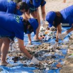Organitzen una jornada de voluntariat per netejar les platges de Calella de Palafrugell i Llafranc privat:-voluntaris-recullen-mes-de-300-kg-de-residus-a-les-platges-de-calella-i-llafranc
