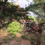 SOS COSTA Brava: “Els ajuntaments no tenen cap sensibilitat per protegir el territori” Tala d'arbres a la Fosca - Imatge de Salvem la Pineda d'en Gori