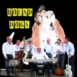 varwwwvhostsradiocapital.cathttpdocswp-contentuploads202109echoCASA_IRLA_HOUND_DOGS.png