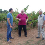 L’àrea vitícola de Calonge és destacada com “un cas únic al món”