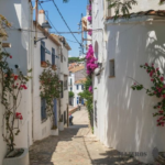 L’associació de veïns i amics de Calella celebra el seu 60è aniversari amb una publicació de la seva història