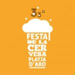 privat:-33a-festa-de-la-cervesa-de-platja-d’aro