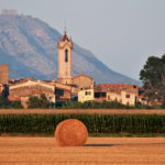 privat:-recordatori:-fotografies-calendari-solidari-per-la-marato-de-tv3