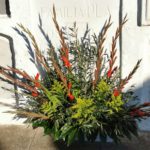 privat:-palafrugell-honorara-els-seus-difunts-mes-illustres-la-diada-de-tots-sants