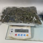 La Policia Local de Palafrugell realitza dues detencions per un delicte contra la salut pública privat:-la-policia-local-de-palafrugell-realitza-dues-detencions-per-un-delicte-contra-la-salut-publica