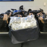 Detenen dos homes mentre transportaven 16 kg de marihuana al cotxe de la plantació a Platja d’Aro