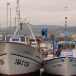 dscn2303_gacela_i_estrella_polar_museu_de_la_pesca