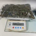 varwwwvhostsradiocapital.cathttpdocswp-contentuploads202110echo20211029_Policia_Local_detenci_marihuana-2.jpg