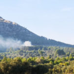 Augmenta la pressió dels boscos del Baix Empordà per les altes temperatures